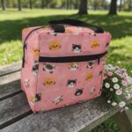 lunch box γατούλες